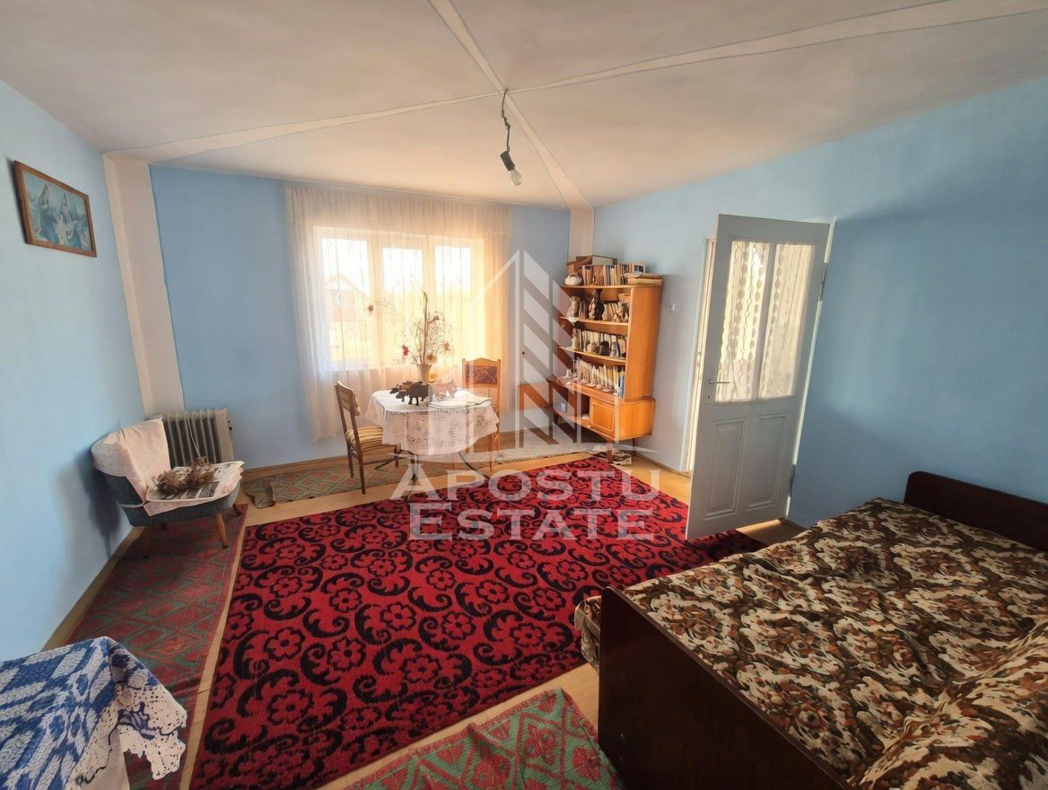 Casă 9 camere Satchinez - poza 13