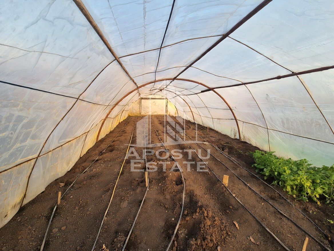 Casă 9 camere Satchinez - poza 3