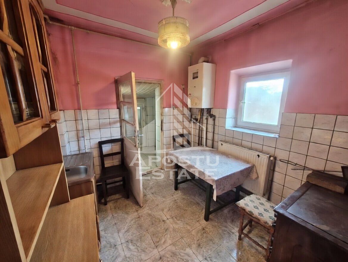 Casă 9 camere Satchinez - poza 6