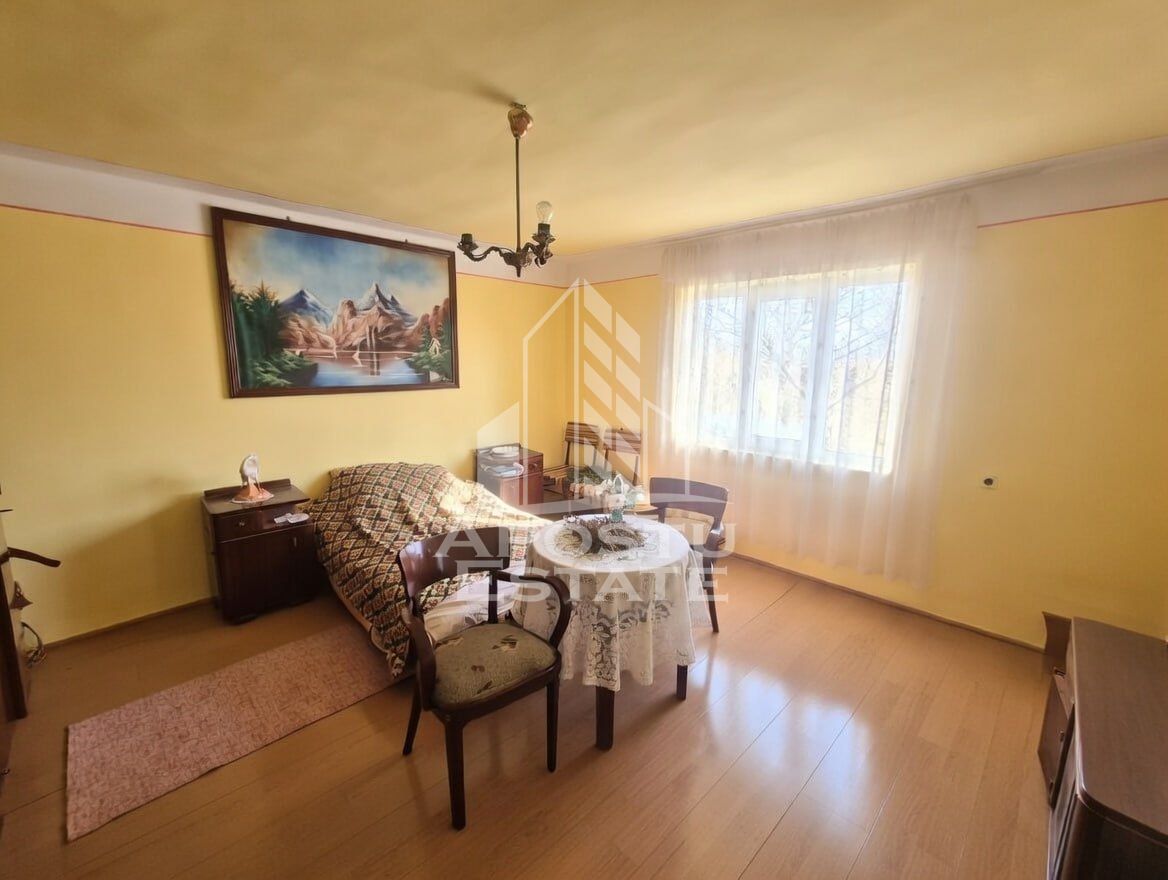 Casă 9 camere Satchinez - poza 9