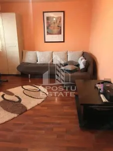 Apartament 3 camere Timișoara - poza 2