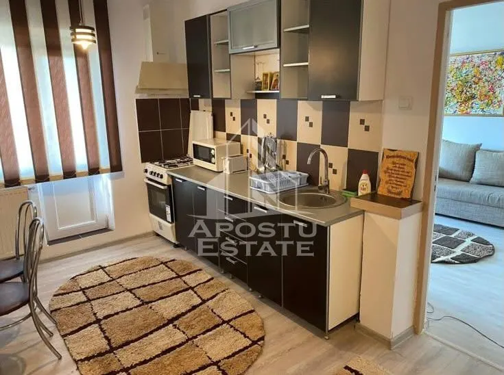 Apartament 2 camere Timișoara - poza 1