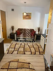Apartament 2 camere Timișoara - poza 4