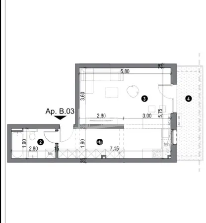 Apartament 1 camera Timișoara - poza 2