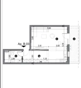 Apartament 1 camera Timișoara - poza 2