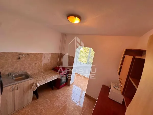 Apartament 2 camere Timișoara - poza 5