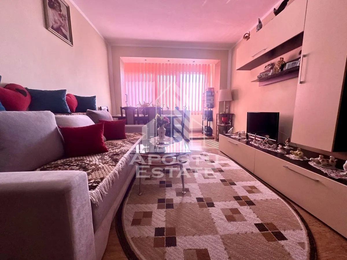 Apartament 2 camere Timișoara - poza 1