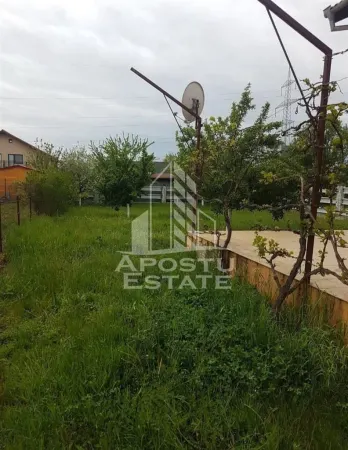 Casă 4 camere Moșnița Nouă - poza 7