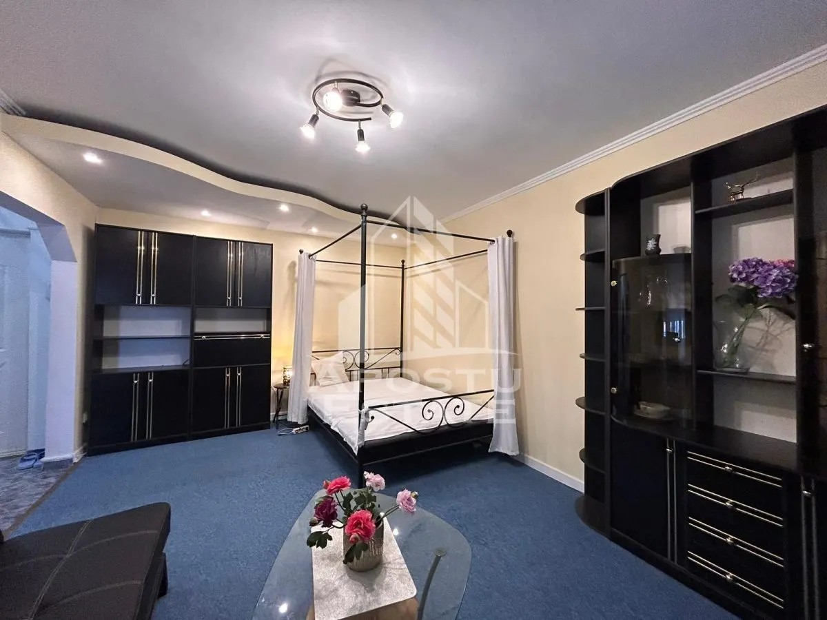 Apartament 1 camera Timișoara - poza 1