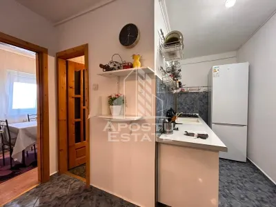 Apartament 1 camera Timișoara - poza 5