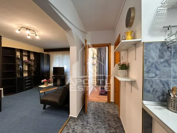 Apartament 1 camera Timișoara - poza 6