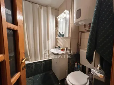 Apartament 1 camera Timișoara - poza 7