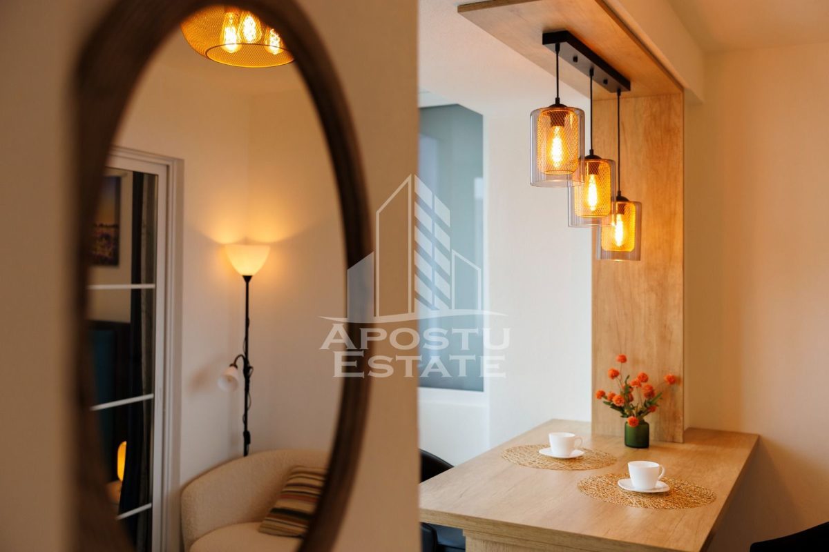 Apartament 1 camera Timișoara - poza 6