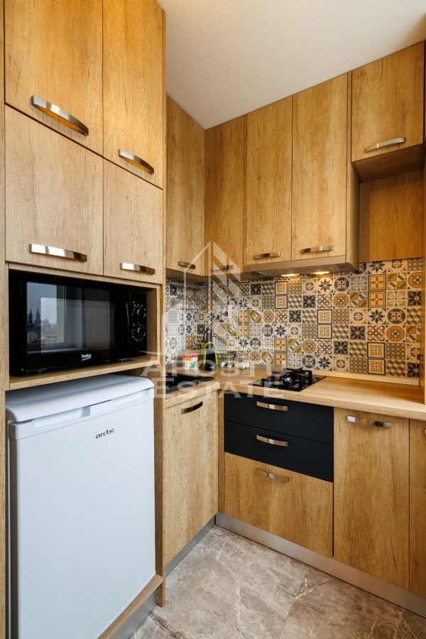 Apartament 1 camera Timișoara - poza 8