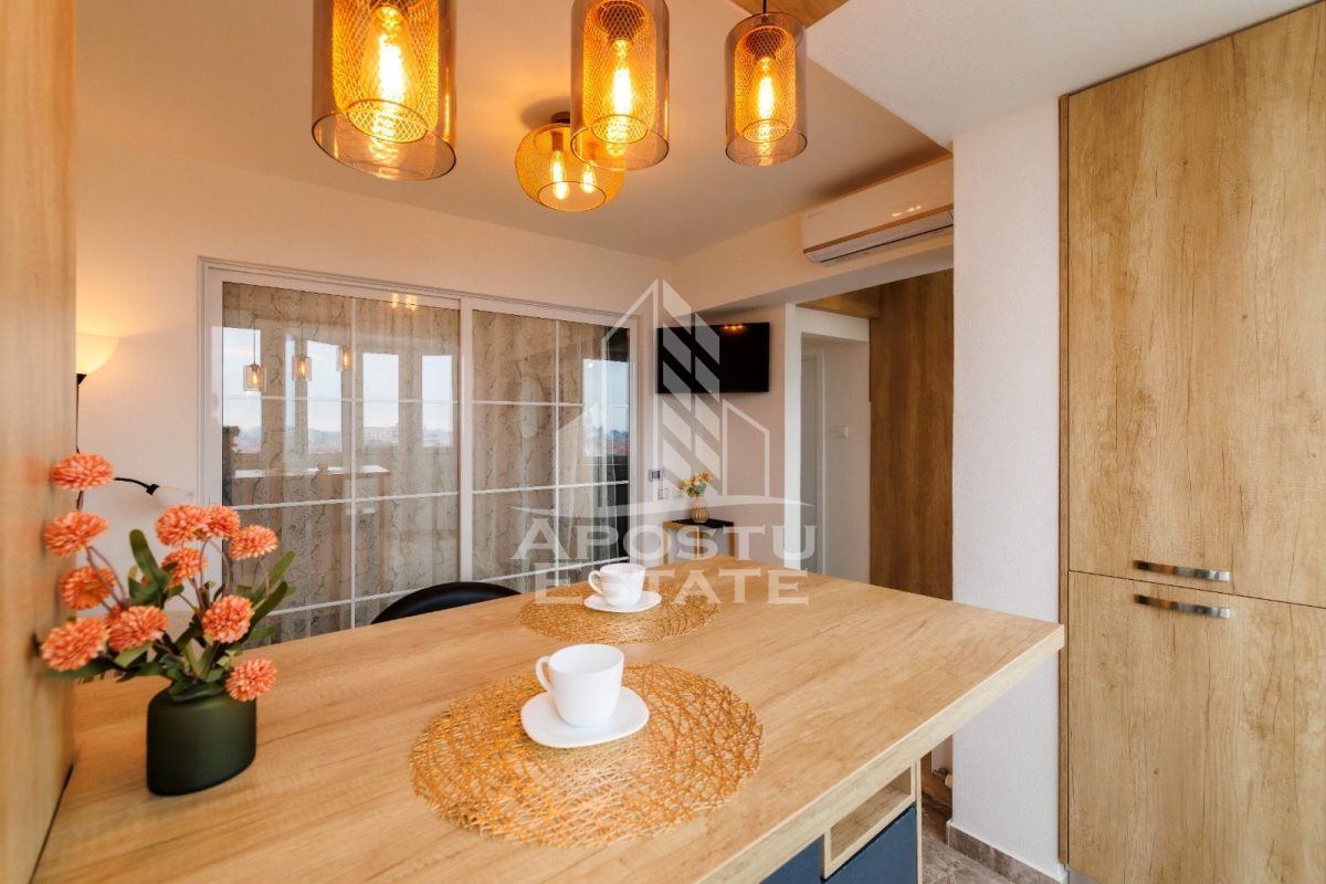 Apartament 1 camera Timișoara - poza 10