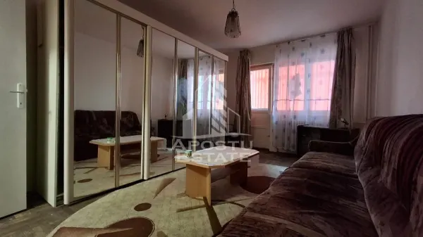 Apartament 2 camere Arad - poza 8