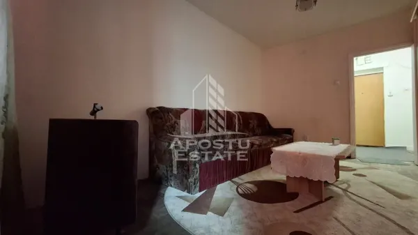 Apartament 2 camere Arad - poza 9