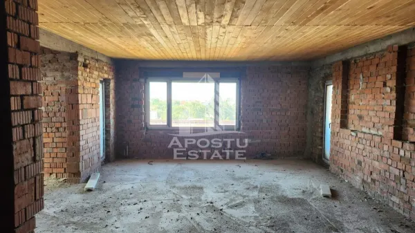 Apartament 9 camere Timișoara - poza 7
