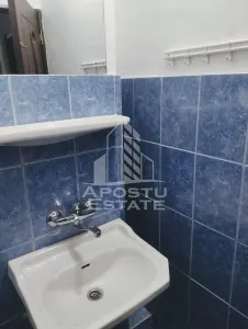 Apartament 3 camere Timișoara - poza 8