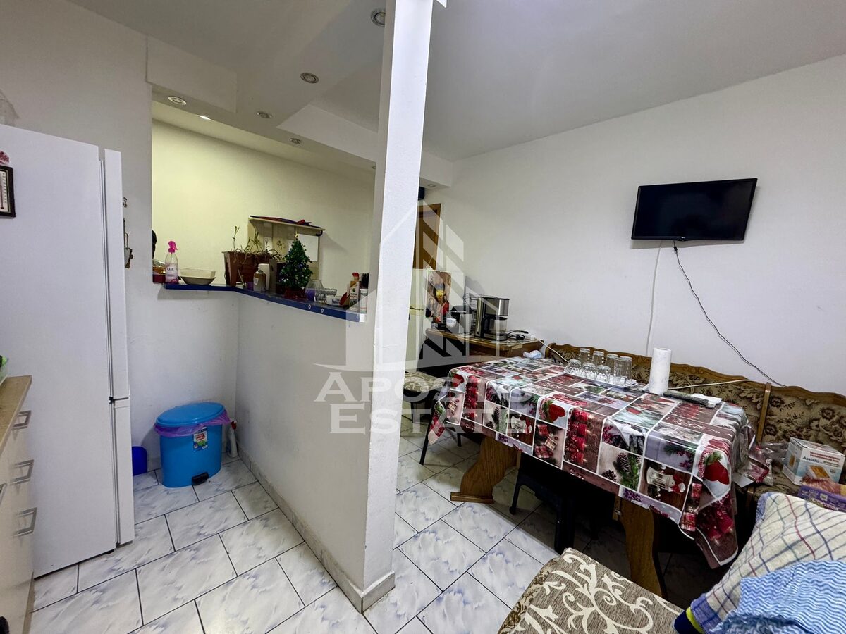 Apartament 2 camere Timișoara - poza 8