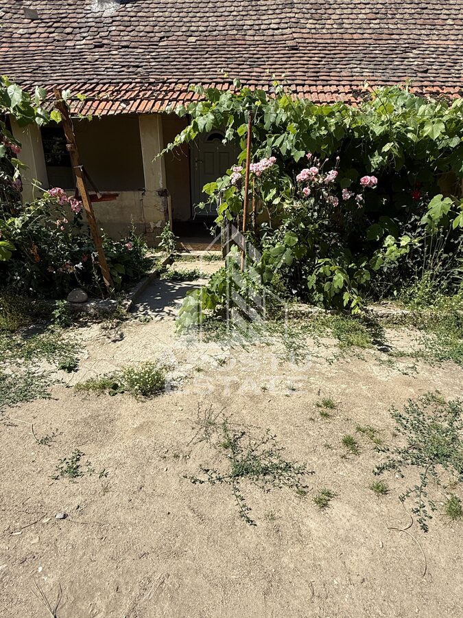 Casă 4 camere Bazos - poza 1