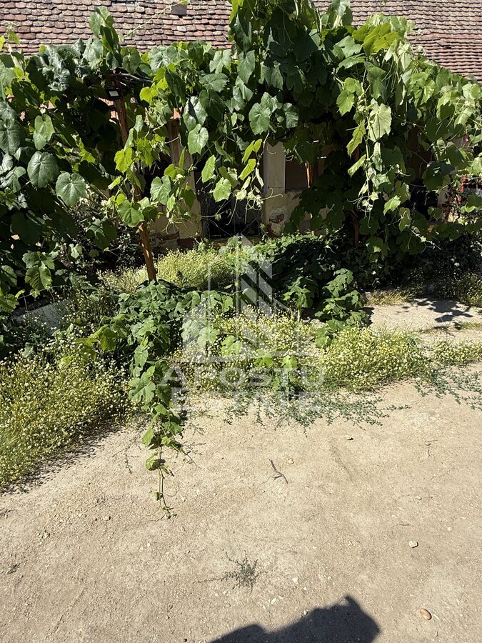 Casă 4 camere Bazos - poza 2