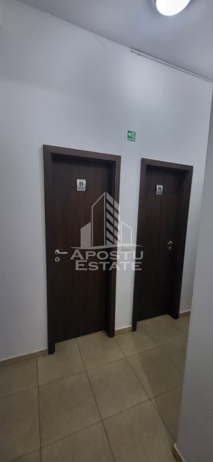 Birou Dumbrăvița - poza 4