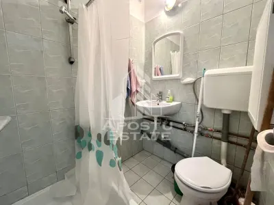 Apartament 1 camera Timișoara - poza 5