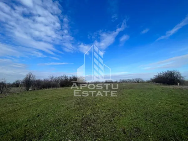 Teren Arad - poza 2