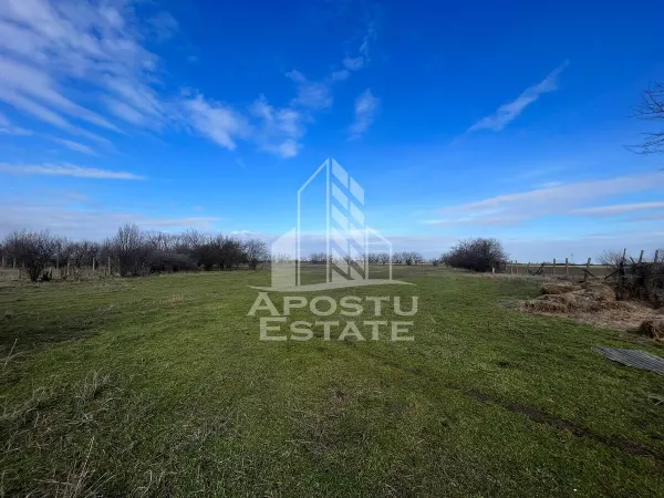 Teren Arad - poza 3