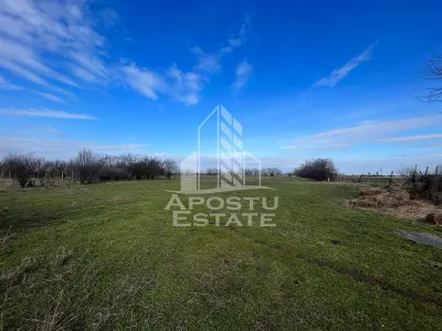 Teren Arad - poza 3