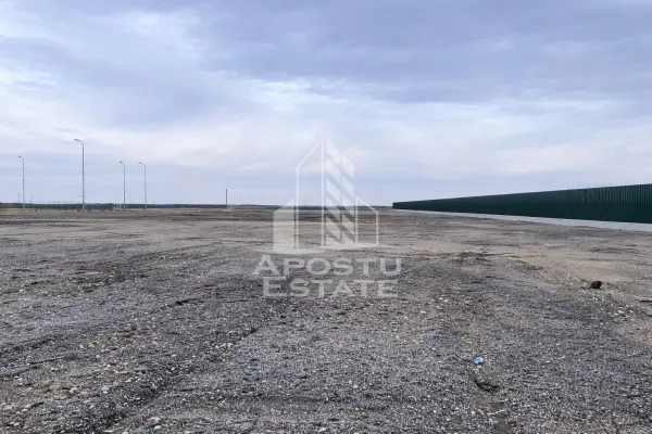 Teren Vladimirescu - poza 3