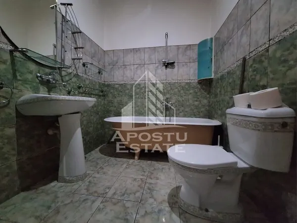 Spațiu comercial Arad - poza 7