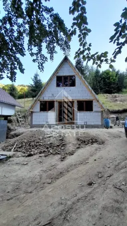 Casă 3 camere Rau de Mori - poza 13