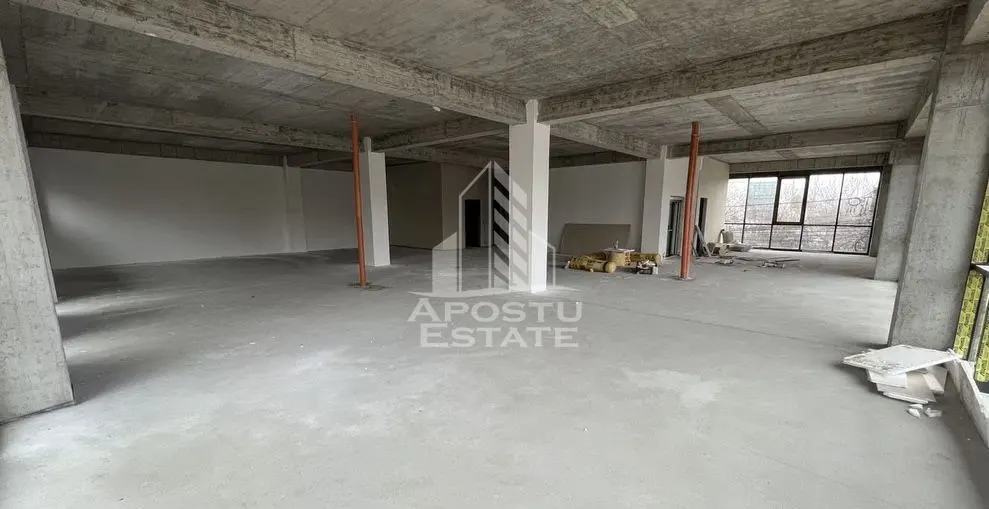Spațiu comercial Timișoara - poza 1