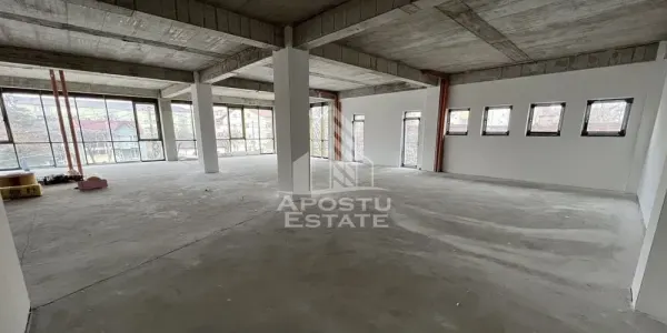 Spațiu comercial Timișoara - poza 2