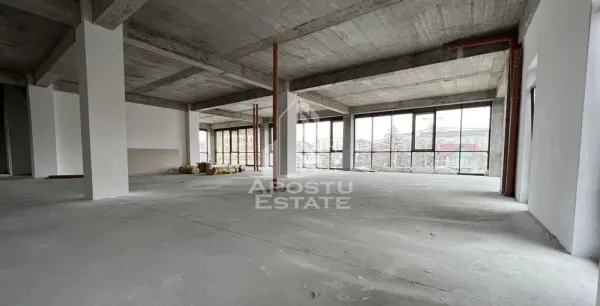 Spațiu comercial Timișoara - poza 3