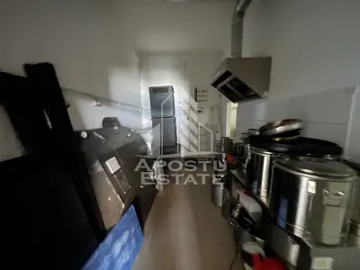 Spațiu comercial Timișoara - poza 3