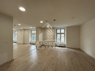 Birou Timișoara - poza 2