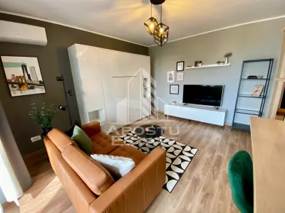 Apartament 1 camera Timișoara - poza 2