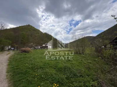 Teren Gros - poza 2
