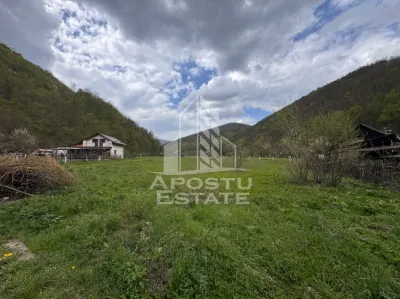 Teren Gros - poza 3
