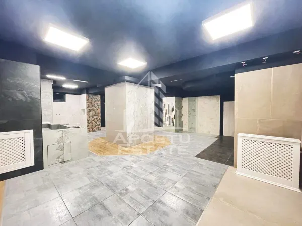 Spațiu comercial Arad - poza 14