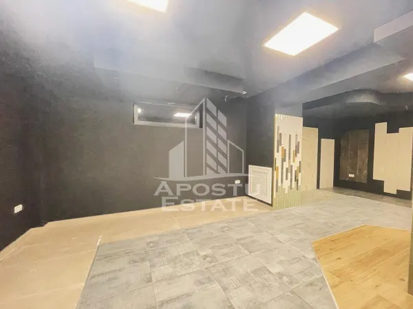 Spațiu comercial Arad - poza 17