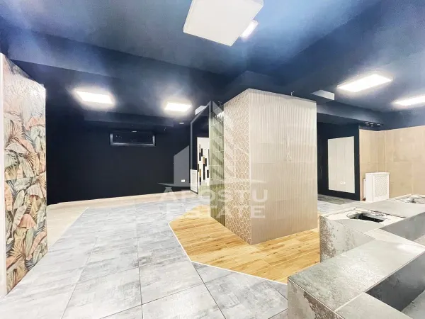 Spațiu comercial Arad - poza 25