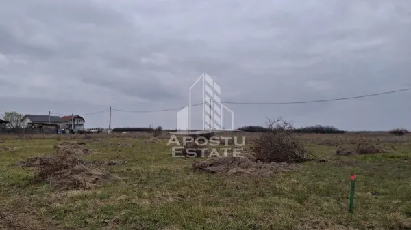 Teren Mandruloc - poza 1