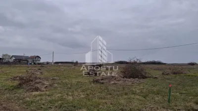 Teren Mandruloc - poza 1