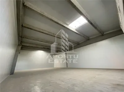 Spațiu industrial Sânandrei - poza 1