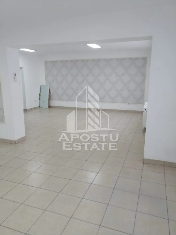 Spațiu comercial Timișoara - poza 1