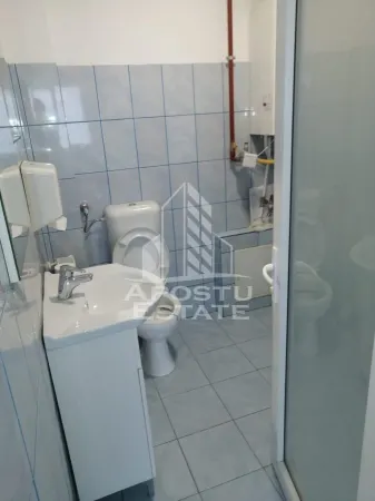 Spațiu comercial Timișoara - poza 3